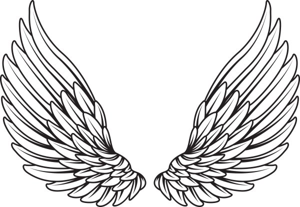 Крылья раскраска