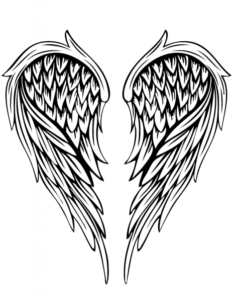 Крылья эскиз