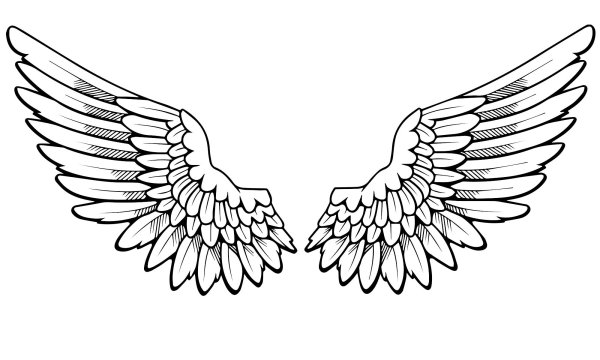 Крылья эскиз рисунок