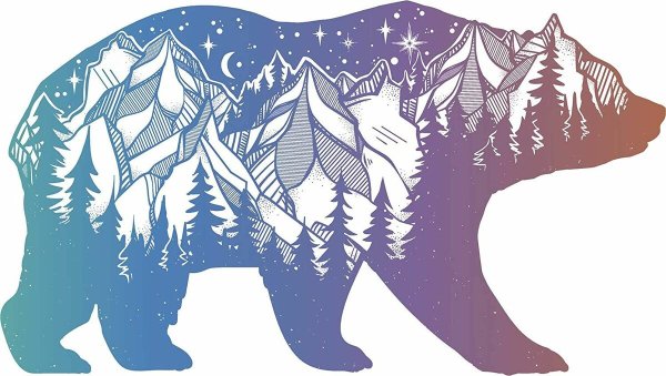 Медведь Векторная Графика