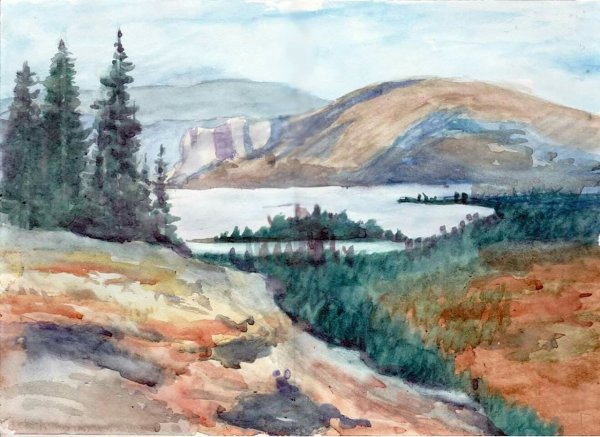 Тайга Сибирь акварель