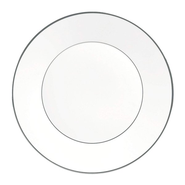 Wedgwood Jasper Conran Platinum