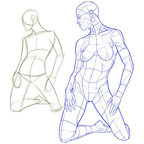 Анатомия для рисования