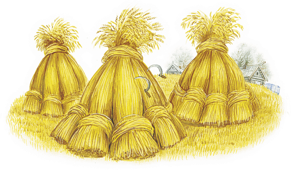 Сено иллюстрация