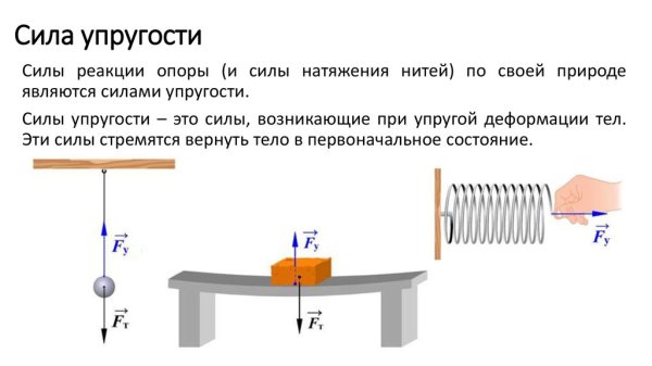 Сила упругости точка приложения чертеж