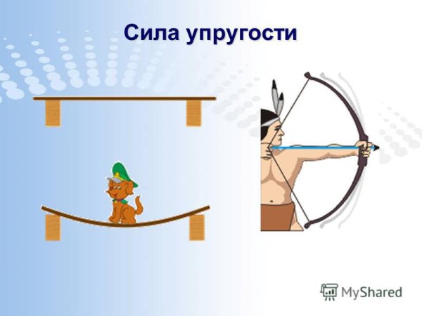 Сила упругости примеры