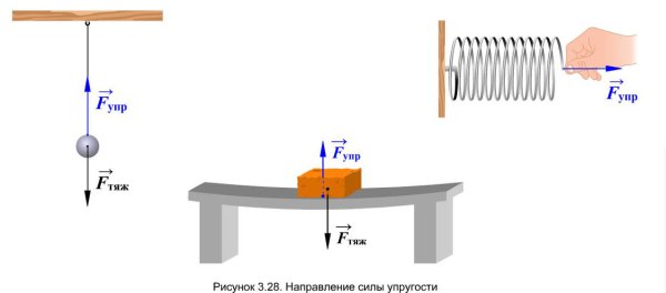 Сила тяжести и упругости на схеме