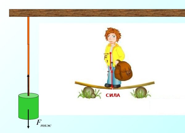 Схема силы трения физика 7 класс