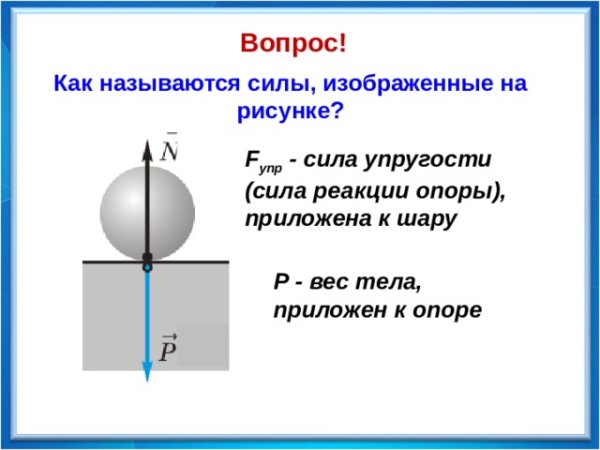 Сила упругости по физике
