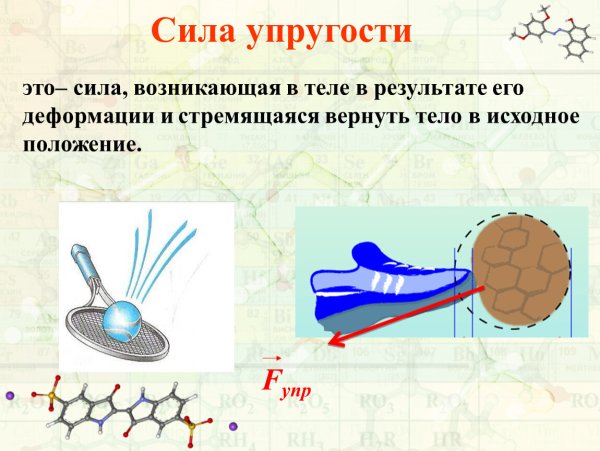 Сила упругости прибор физика