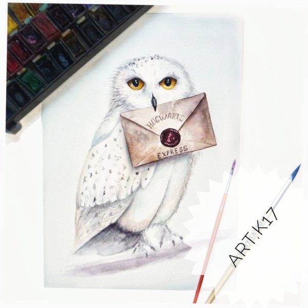 Букля Сова Гарри Поттера маслом