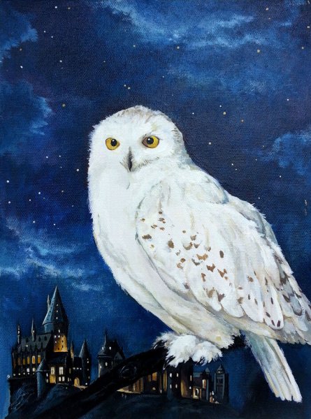 Раскраска Гарри Поттер Сова Букля