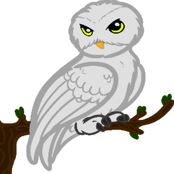 Сова Гарри Поттера