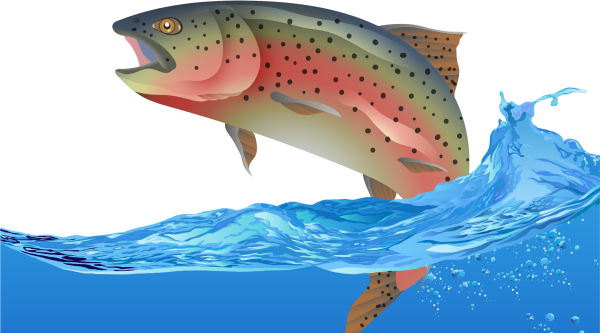 Форель без фона