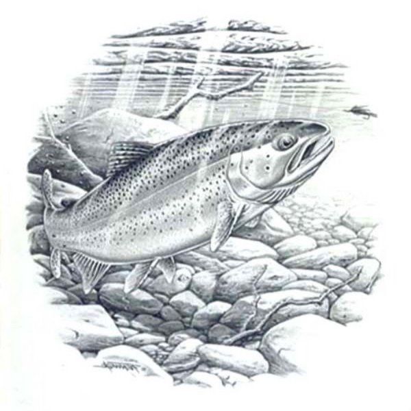 Рыбацкие зарисовки