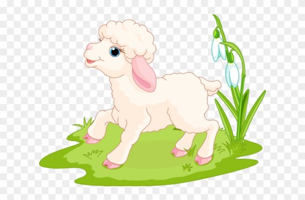 Ягненок для детей