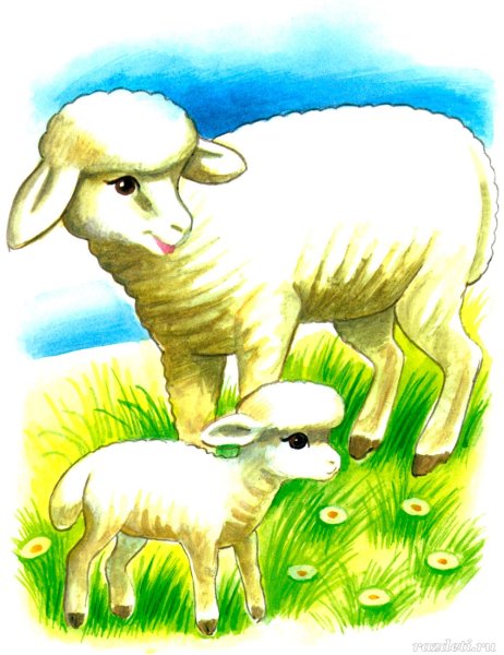 Баран рисунок для детей
