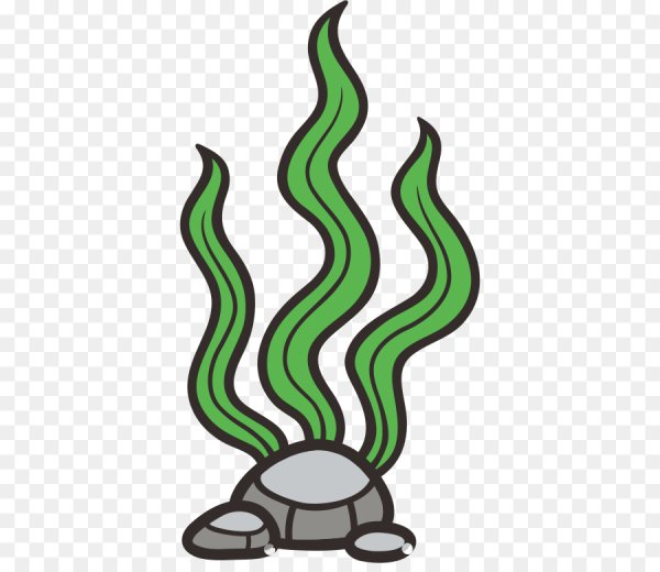 Водоросли мультяшные