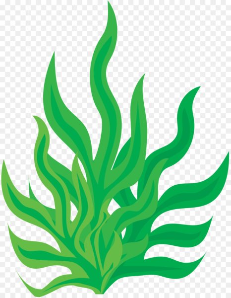 Водоросли мультяшный