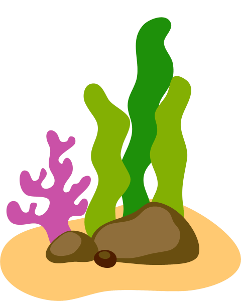 Водоросли для срисовки