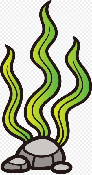 Кораллы для детей