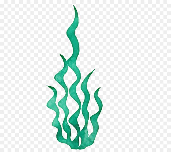 Водоросли раскраска