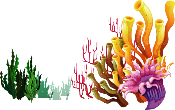 Водоросли вектор