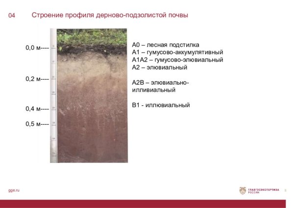 Дерново-подзолистые почвы профиль схема