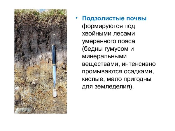 Дерново-подзолистые почвы это кратко