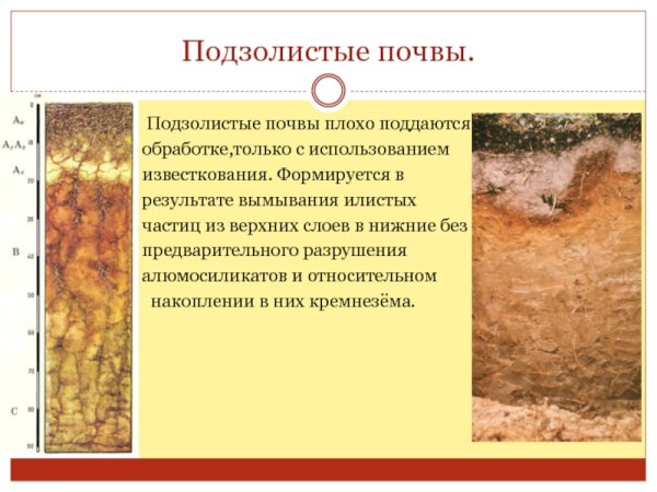 Почвенные горизонты подзолистых почв таблица