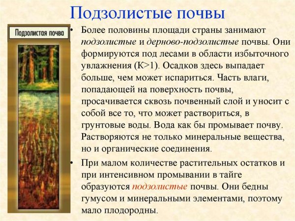 Дерново-подзолистые почвы плодородие или нет