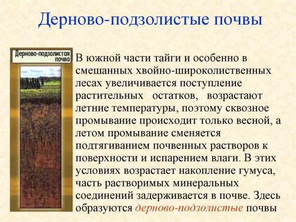 Дерново-подзолистые почвы таблица