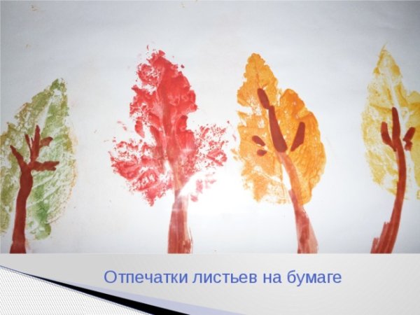 Осенний лес отпечатывание сухих листьев