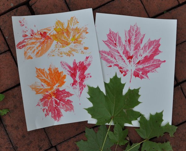 «Осенние листья» Отпечатки листьев