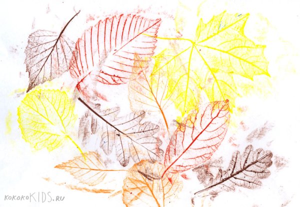 Отпечатки листьев на бумаге