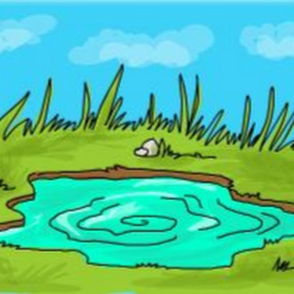 Лужа мультяшка
