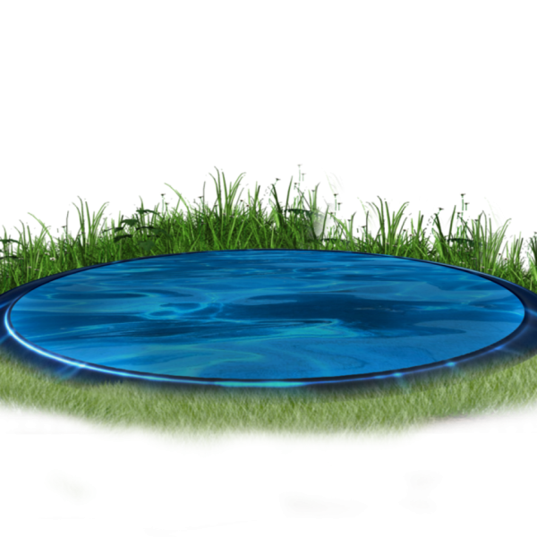 Пруд на белом фоне