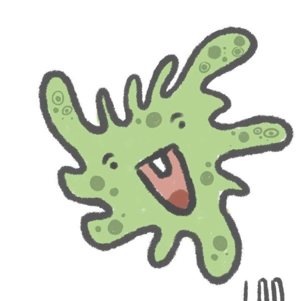 Выделительная система амебы