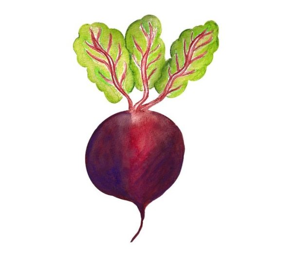 Свекла для детского сада