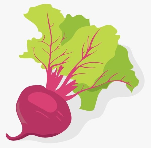 Свекла для детей