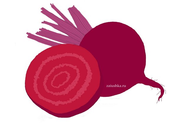 Свекла для дошкольников