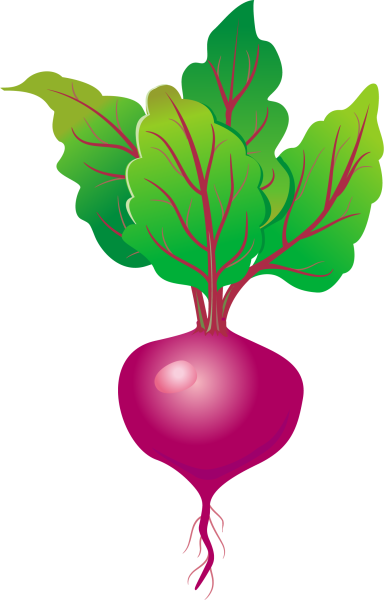 Свекла для детей