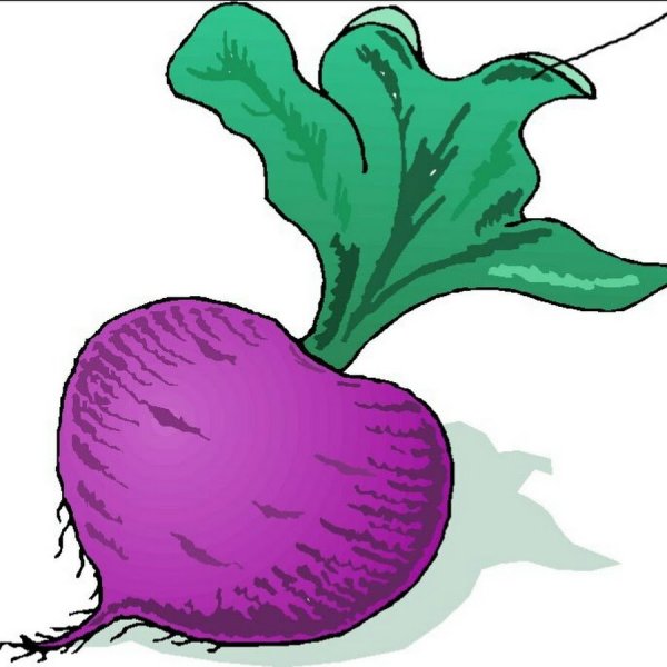 Игры с прищепками овощи