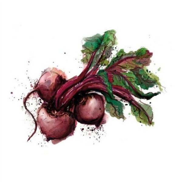 Редис мультяшный без фона