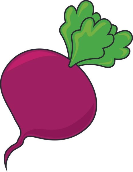 Свекла на белом фоне