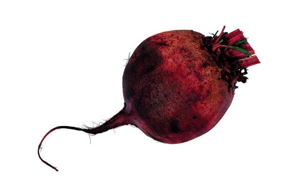 Свекла вектор