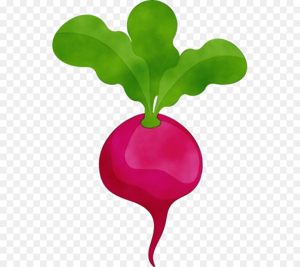 Свекла для детей