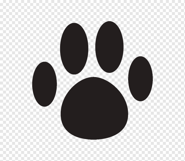 Кошачья лапа отпечаток