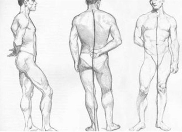 Мужская модель для рисования