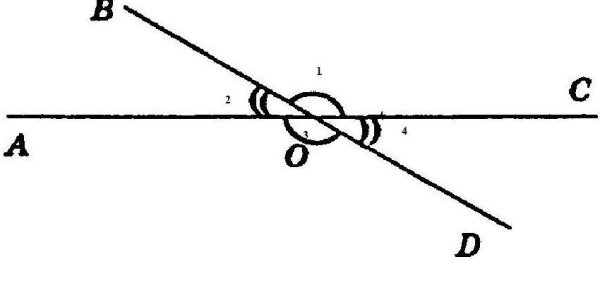 Вертикальные углы равны